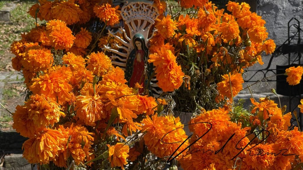 Arreglo de cempasúchil con imagen de la Virgen de Guadalupe en el Panteón Municipal de Puebla