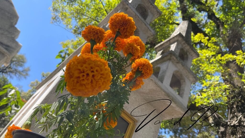 Ramo de cempasúchil frente a una tumba en el Panteón Municipal de Puebla