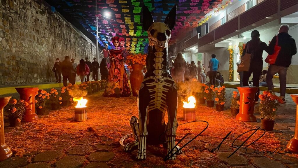 Perro catrín entre fogatas, papel picado y cempasúchil en las calles de Huaquechula